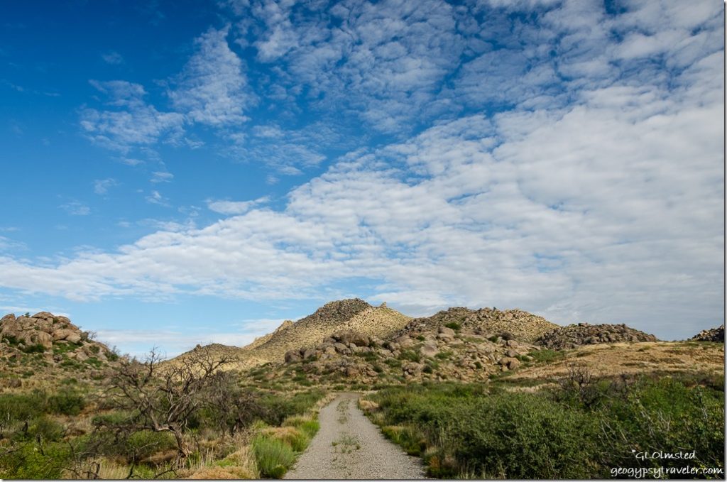 trail rides yarnell arizona Gilligans Pizza & Bar Yarnell Arizona